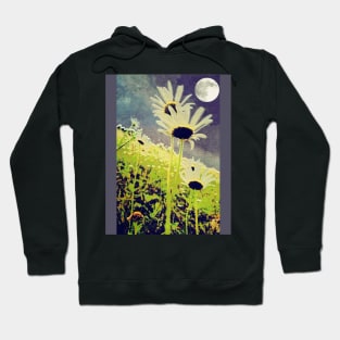 As Daisies Greet The Evening Sky Hoodie